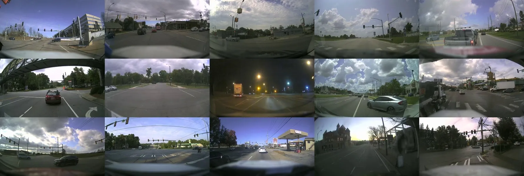 Examples of images in the VZC-TLD dataset.